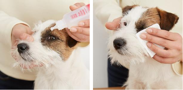 APDC アイクリーン ウォーター 50ml