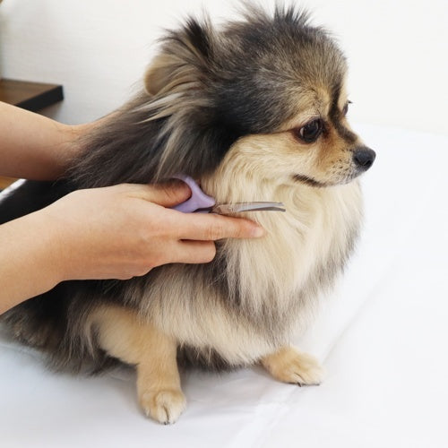 デリケート整毛バサミ 細部用 犬・猫用