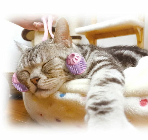 全身マッサー術 にゃんこの癒し