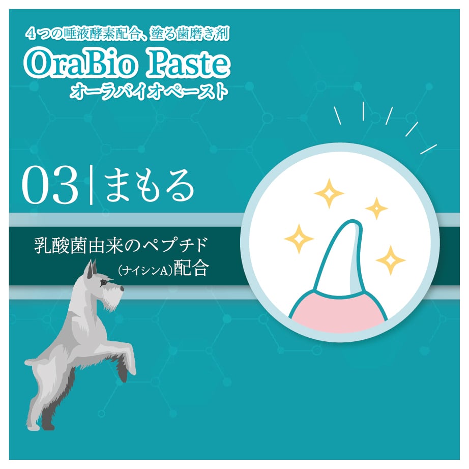 オーラバイオ ペースト 50g