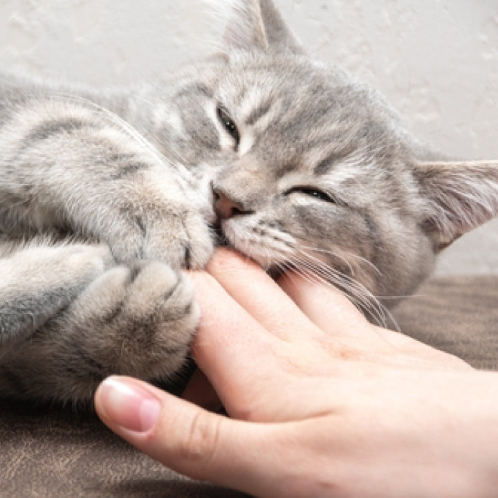 Hand Gel η (ハンドジェル イータ) (30g)