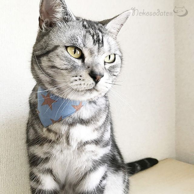 【ビッグスター柄ブルー】まじめな首輪・目立つバンダナ風/選べるアジャスター 猫首輪 - ネコソダテ®日本で唯一のまじめな首輪®専門店