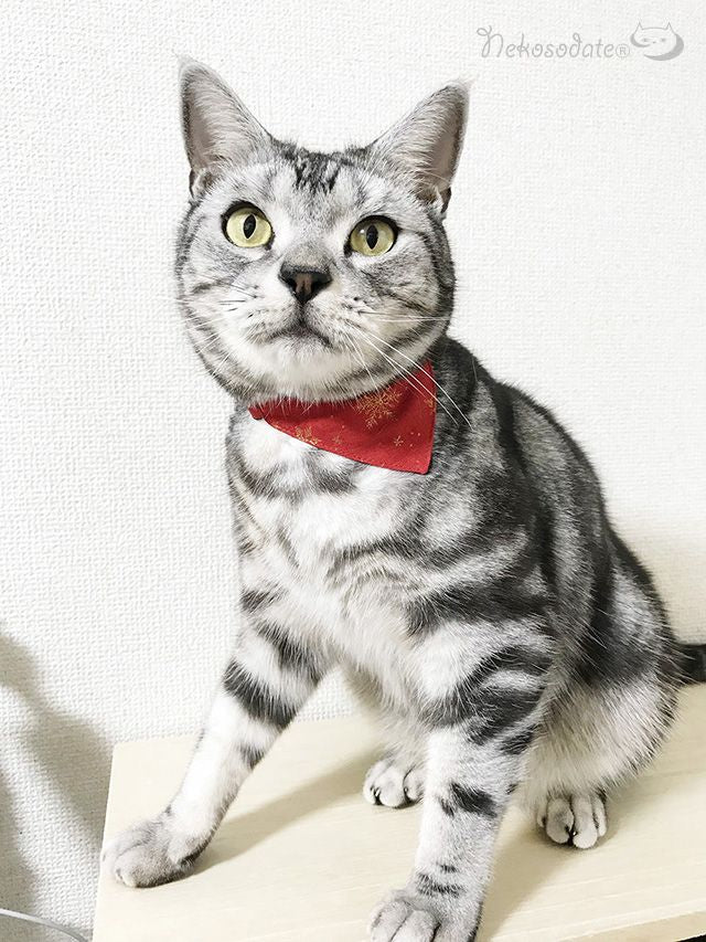 【ビッグスノー柄レッド】まじめな首輪・目立つバンダナ風/選べるアジャスター 猫首輪