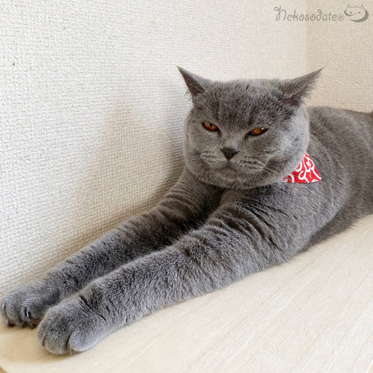 【それっぽくなる小唐草柄レッド】まじめな首輪・目立つバンダナ風/選べるアジャスター 猫首輪 布サルカン