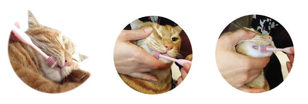 ペッツルート マタタビにゃん歯ブラシ 猫用