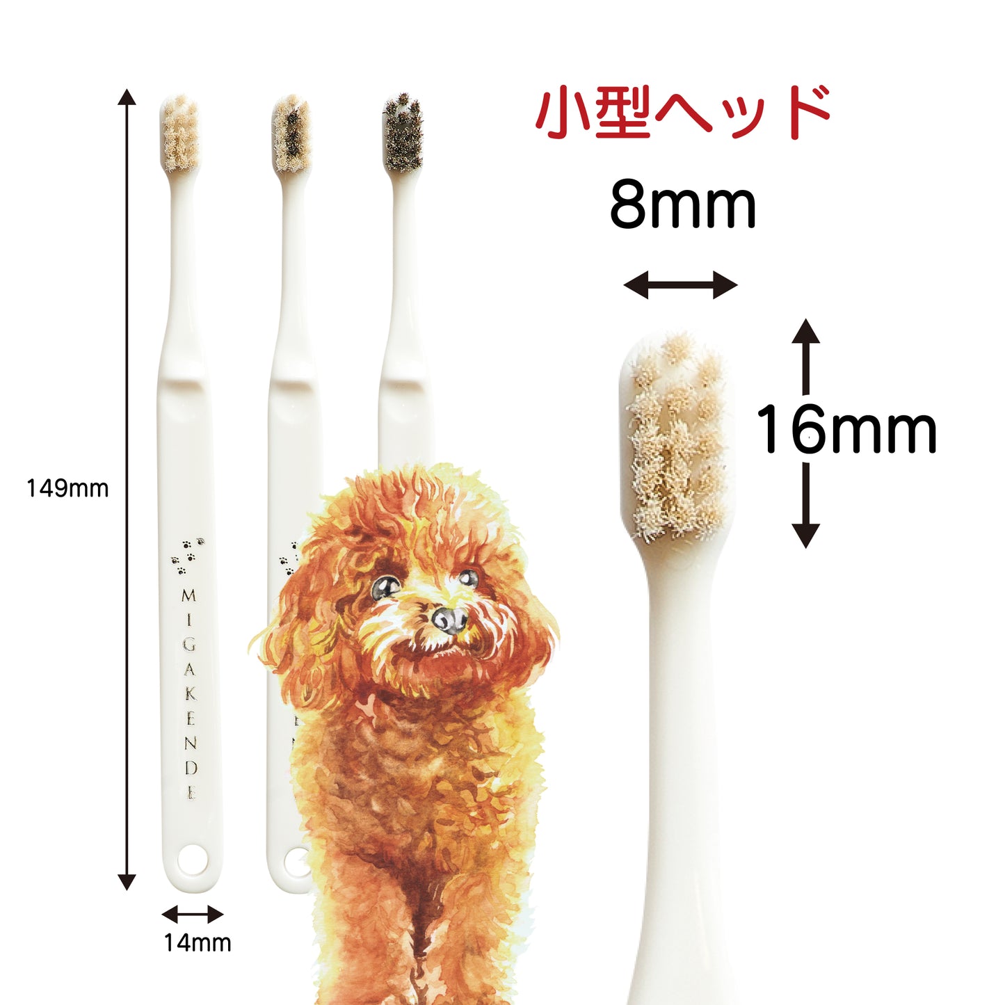 天然毛歯ブラシ ミガケンデ 柔らかい植毛 ヤギ