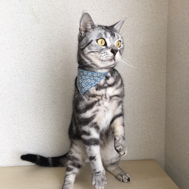 【桜柄ピンク】まじめな首輪・目立つバンダナ風/選べるアジャスター 猫首輪