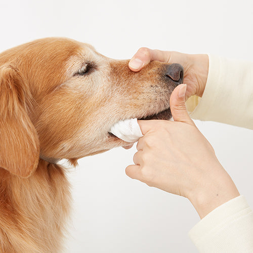 オーガニック コットンシート 80枚入り メイドオブオーガニクス