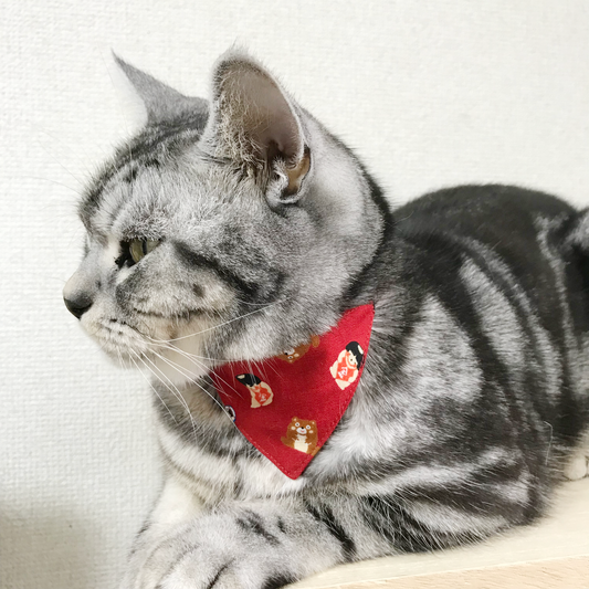 【金太郎・レッド】猫用バンダナ風首輪／選べるバックル - ネコソダテ®日本で唯一のまじめな首輪®専門店