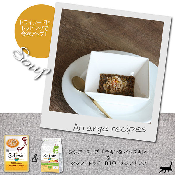 シシア キャット スープ チキン&パンプキン 85g