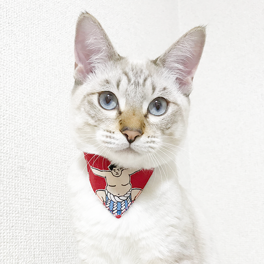 【力士柄】まじめな首輪・目立つバンダナ風/選べるアジャスター 子猫から成猫 - ネコソダテ®日本で唯一のまじめな首輪®専門店
