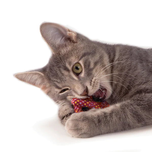 ダッドウェイ デンタル プレッツェル(Dadway)