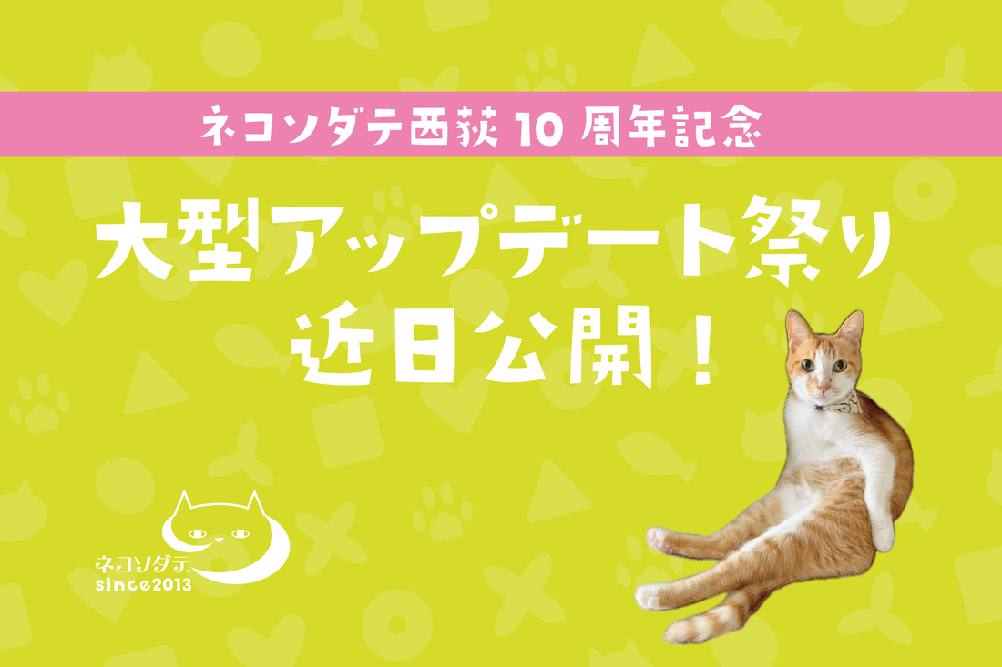 6月下旬「大型アップデート祭り」開催！