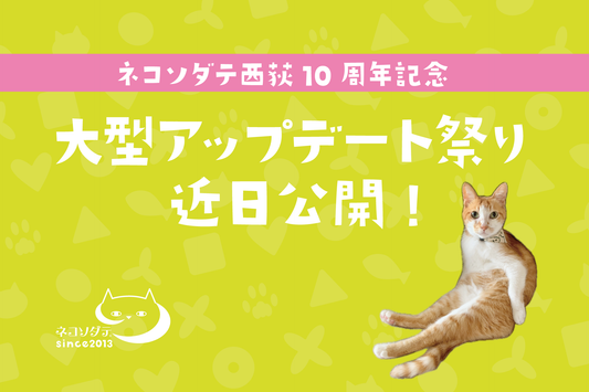 6月下旬「大型アップデート祭り」開催！