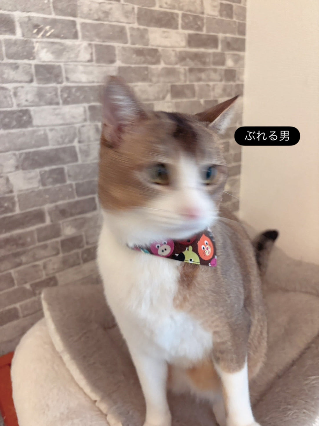 創業13周年。10月1日で14年目に入りました