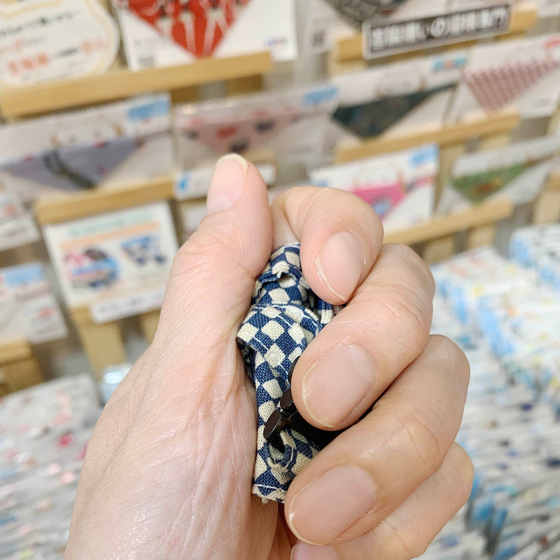 柔らかい猫用首輪を手に持つ様子