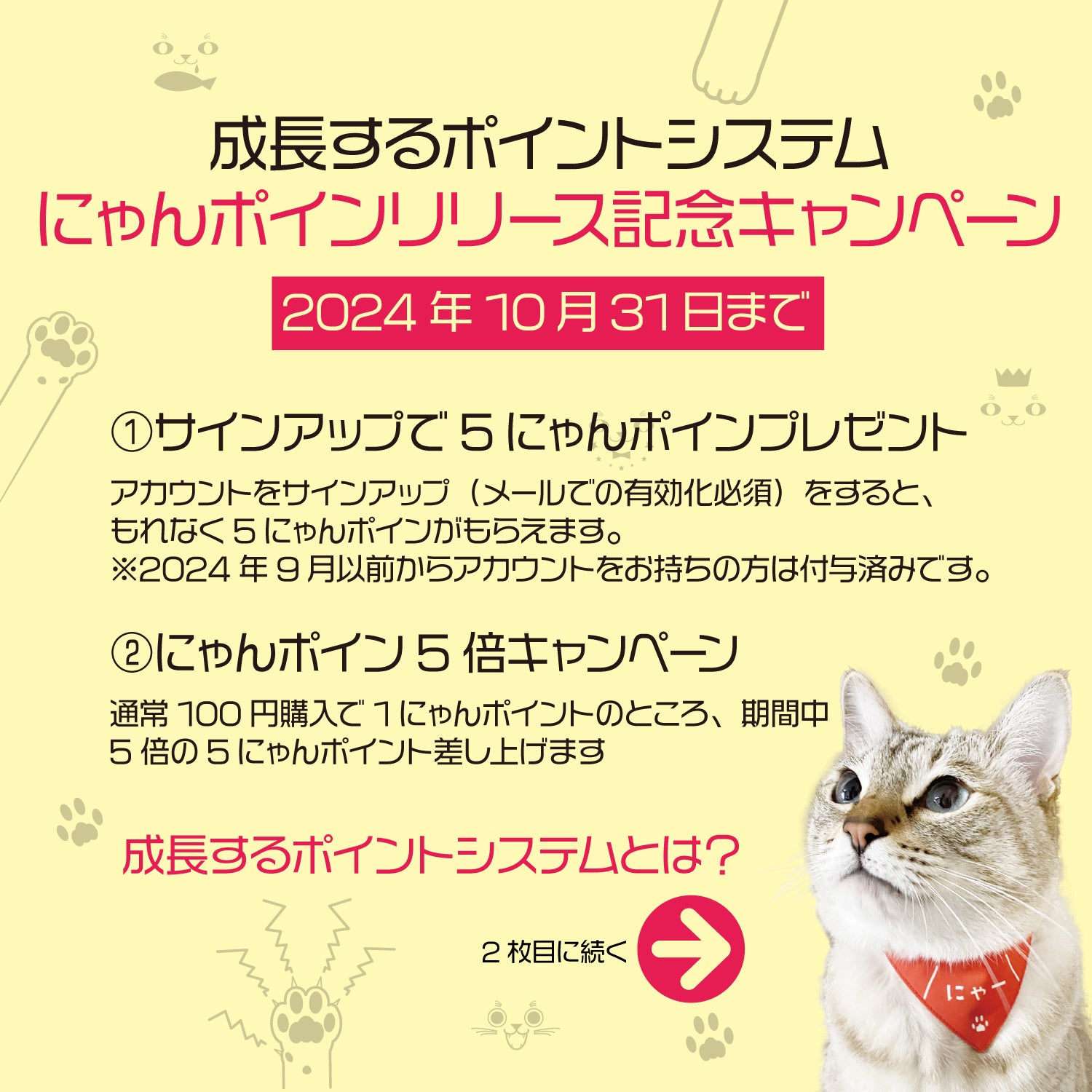 コレクション 猫 首輪 ゴアテックス