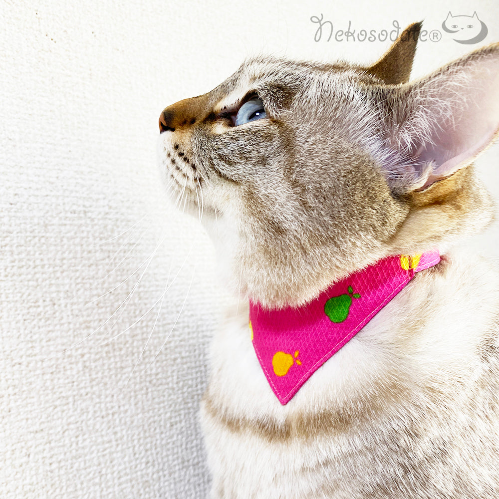 【梨と林檎柄ピンク】まじめな首輪・目立つバンダナ風／選べるバックル 猫首輪