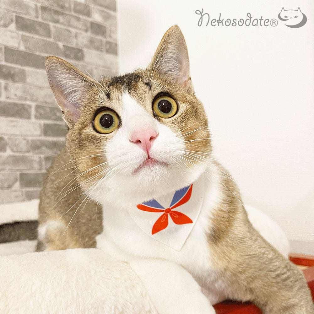 [Cat pattern red] Serious collar, conspicuous bandana style poem series, self-nyan / selectable safety buckle Cat collar