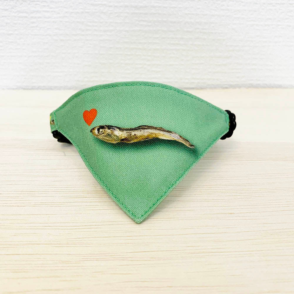 ※1ヶ月半納期【にぼし柄グリーン】まじめな首輪・目立つバンダナ風・セルフニャン／選べるセーフティバックル 猫首輪