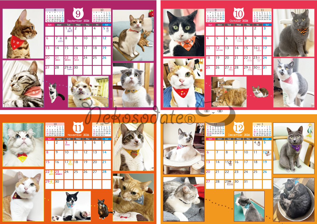 1月はじまり・猫の記念日がまあまあ入っているカレンダー2026