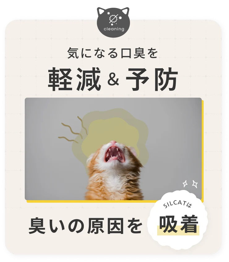 シルキャット SILCAT 30包入