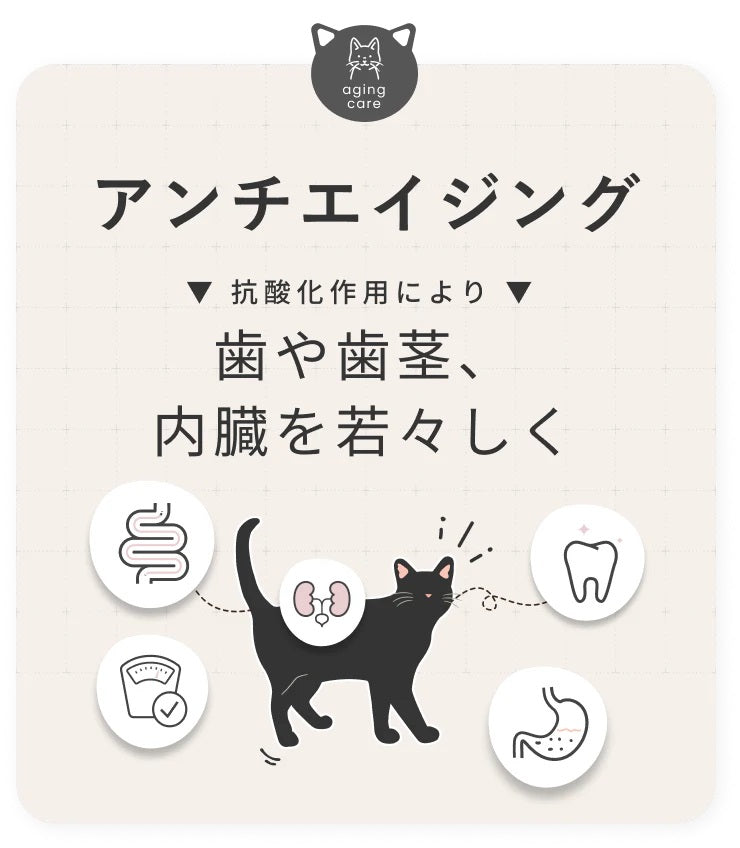 シルキャット SILCAT 30包入