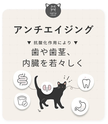 シルキャット SILCAT 30包入