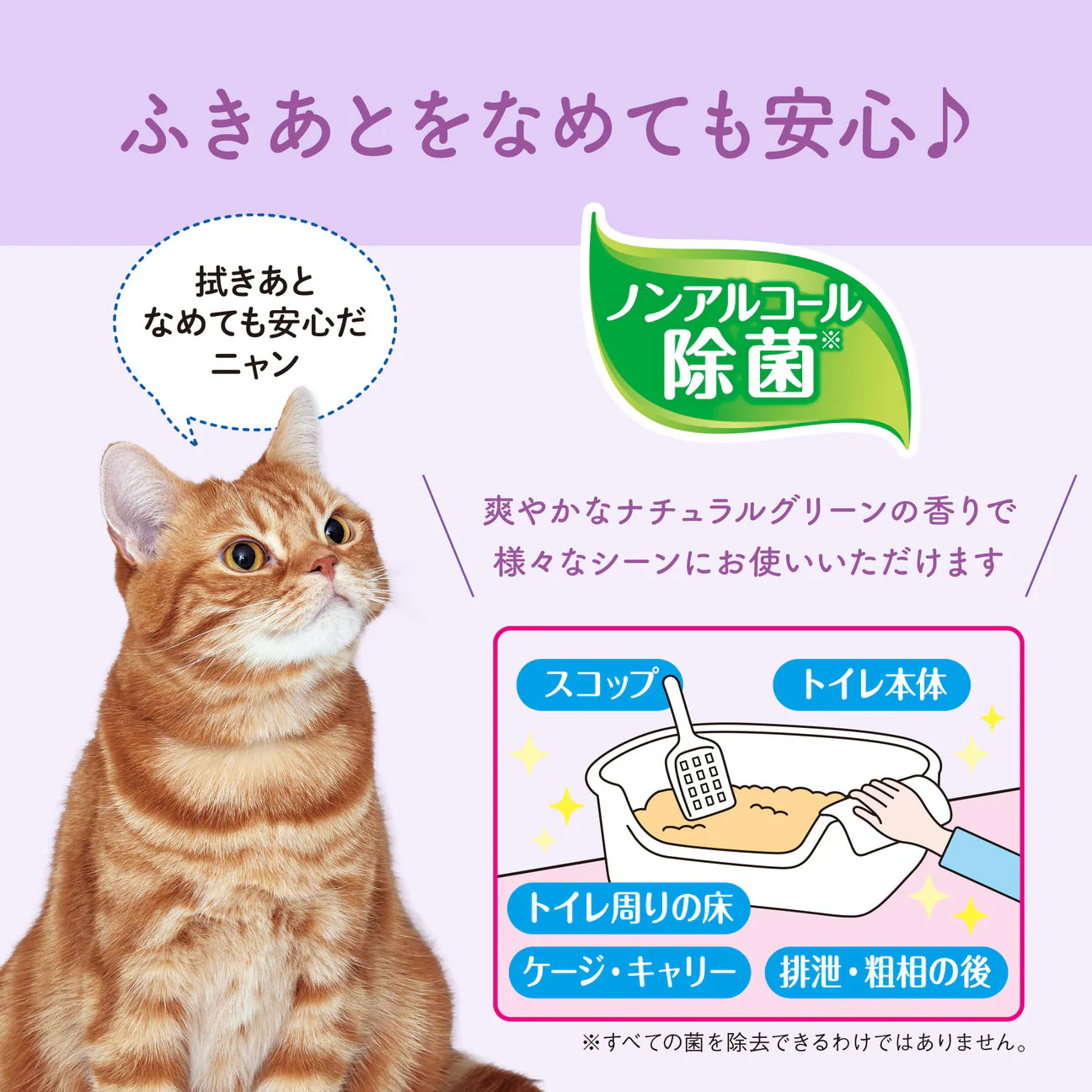 キミおもい 汚れもニオイもからめとる 徹底キレイおそうじシート ナチュラルグリーンの香り 26枚×2パック
