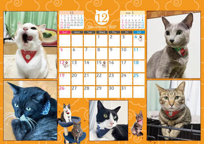 1月はじまり・猫の記念日がまあまあ入っているカレンダー2027
