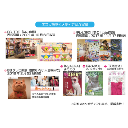 【にぼし柄グレー】まじめな首輪-なじむストレート／ 選べるセーフティバックル 猫用首輪 安全首輪