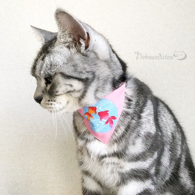 【金魚柄レッド】まじめな首輪・目立つバンダナ風／選べるアジャスター 猫首輪 - ネコソダテ?日本で唯一のまじめな首輪?専門店