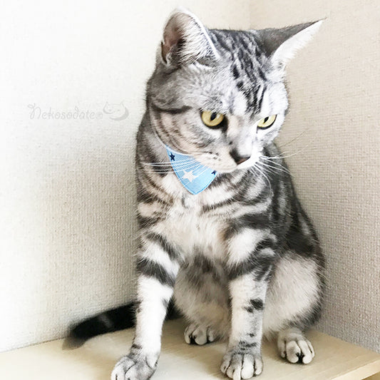 【布目スター柄ブルー】まじめな首輪・目立つバンダナ風／選べるアジャスター 猫首輪 - ネコソダテ®日本で唯一のまじめな首輪®専門店