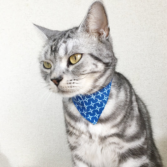 [Flower blue] Serious collar, conspicuous bandana style / selectable adjuster cat collar