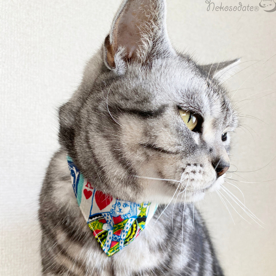 [Trump pattern aqua] Serious collar, conspicuous bandana style / selectable adjuster cat collar