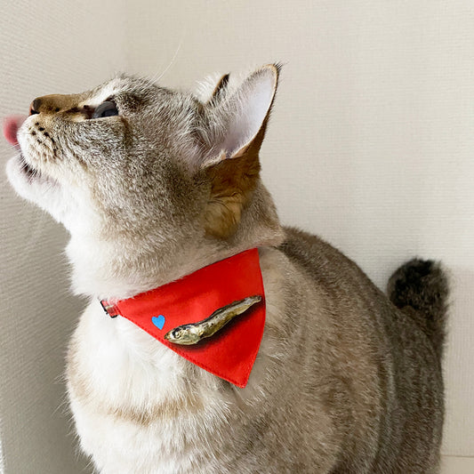 ★ Limited quantity [helmet pattern blue] Serious collar, conspicuous bandana style season, self-nyan / selectable safety buckle Cat collar