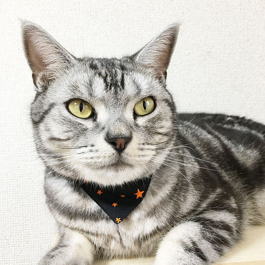 [Halloween star pattern black] Serious collar, conspicuous bandana style / selectable adjuster cat collar