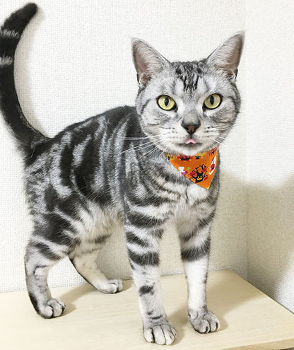 [Halloween Parade] Serious Collar / Conspicuous Bandana Style / Selectable Adjuster Cat Collar