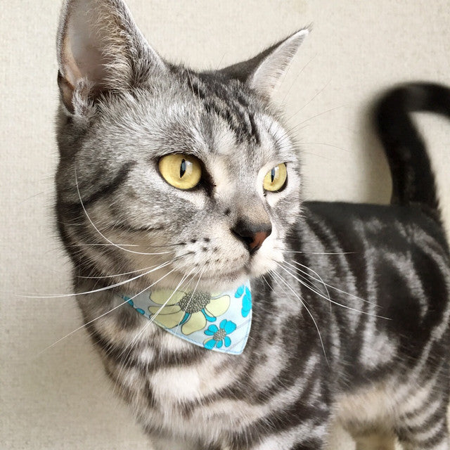 [Anemone pattern] Serious collar, conspicuous bandana style / selectable adjuster cat collar