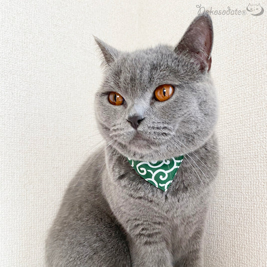 [Small arabesque green that looks like it] Serious collar, conspicuous bandana style / selectable adjuster cat collar