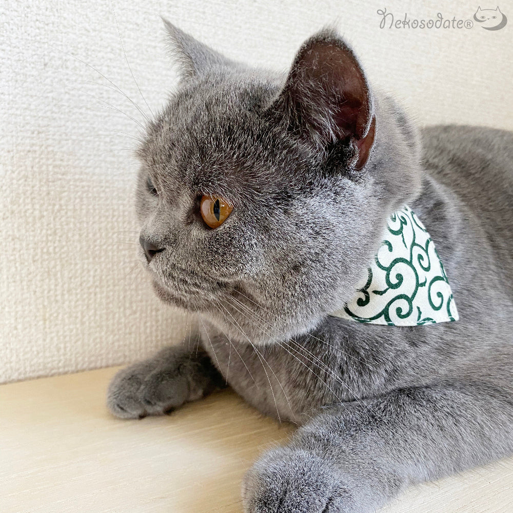 [Small arabesque white that looks like it] Serious collar, conspicuous bandana style / selectable adjuster cat collar