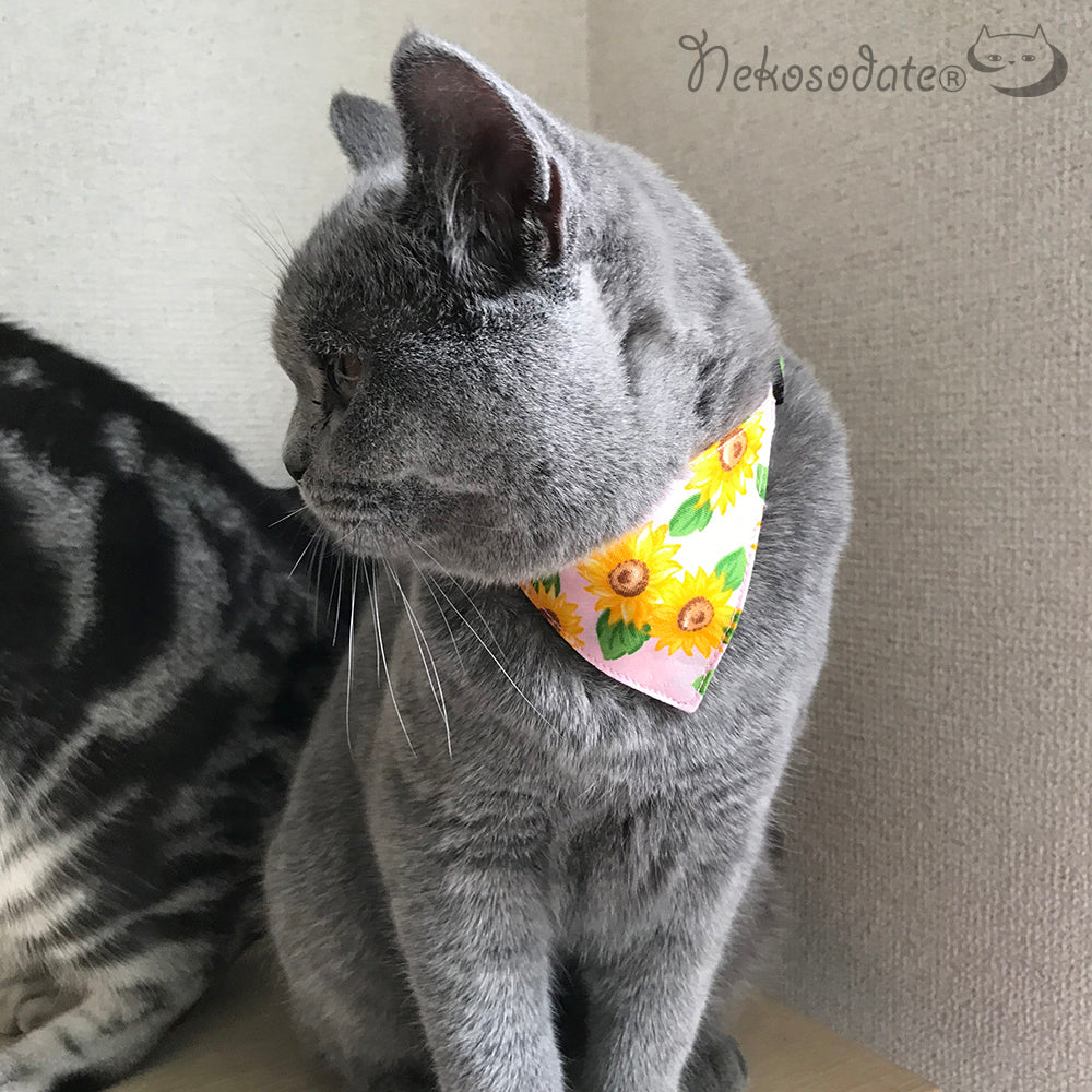 [Sunflower pattern pink] Serious collar, conspicuous bandana style / selectable adjuster cat collar