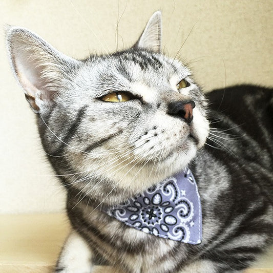 [Paisley pattern gray] Serious collar, conspicuous bandana style / selectable adjuster cat collar