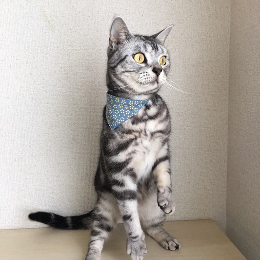 [Sakura pattern blue] Serious collar, conspicuous bandana style / selectable adjuster cat collar