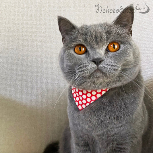 [Honeycomb dot pattern red] Serious collar, conspicuous bandana style / selectable adjuster cat collar