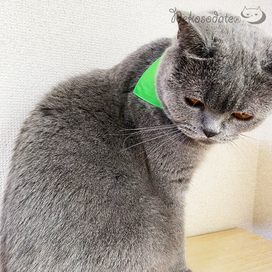 [Rainy day plain green] Serious collar, conspicuous bandana style / selectable adjuster cat collar