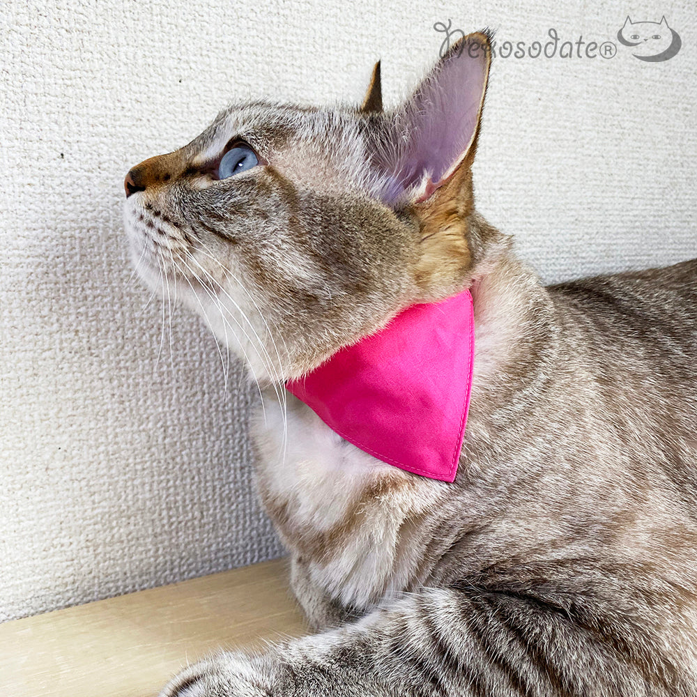 [Rainy day plain pink] Serious collar, conspicuous bandana style / selectable adjuster cat collar