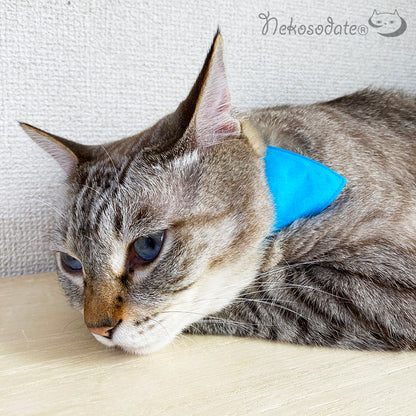 [Rainy day plain blue] Serious collar, conspicuous bandana style / selectable adjuster cat collar