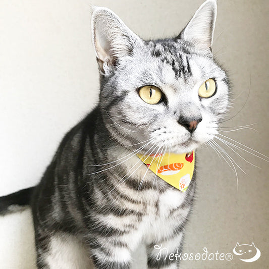 [Sushi pattern yellow] Serious collar, conspicuous bandana style / selectable adjuster cat collar