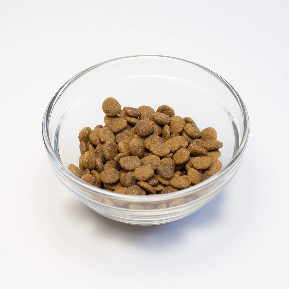 プロベット 猫 ストルバイト（尿石） 500g – ネコソダテ®日本で唯一のまじめな首輪®専門店